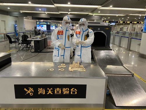 警惕！回蓉旅客攜帶象牙手鐲被成都海關查獲，教學模型制造需守法規