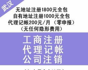 漢口專業財稅服務 財務代理、內賬外賬管理、一般納稅人申請、清理舊賬與代辦貸款申報一站式解決方案